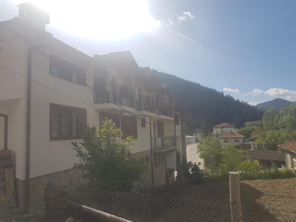 Къща За Гости Камината Trigrad Ngoại thất bức ảnh